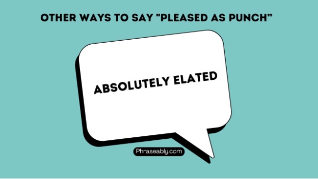 Other Ways to Say Pleased as Punch