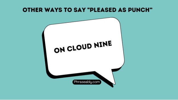 Other Ways to Say Pleased as Punch