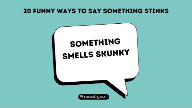 Funny Ways to Say Something Stinks