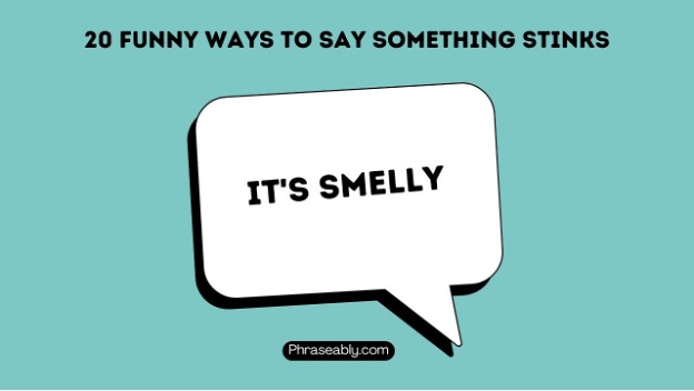 Funny Ways to Say Something Stinks