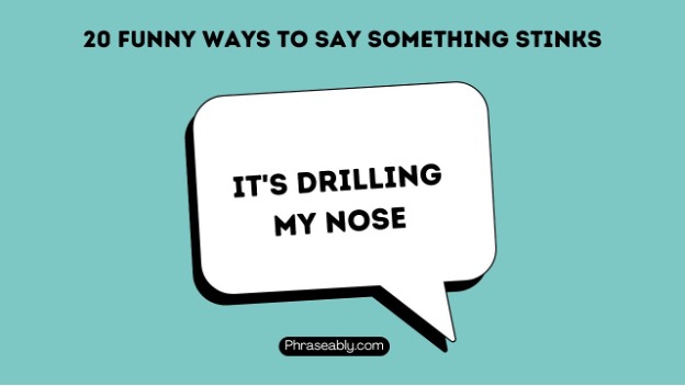 Funny Ways to Say Something Stinks