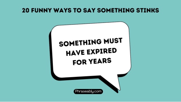 Funny Ways to Say Something Stinks