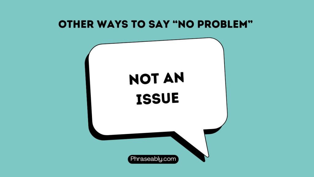 Other Ways to Say No Problem