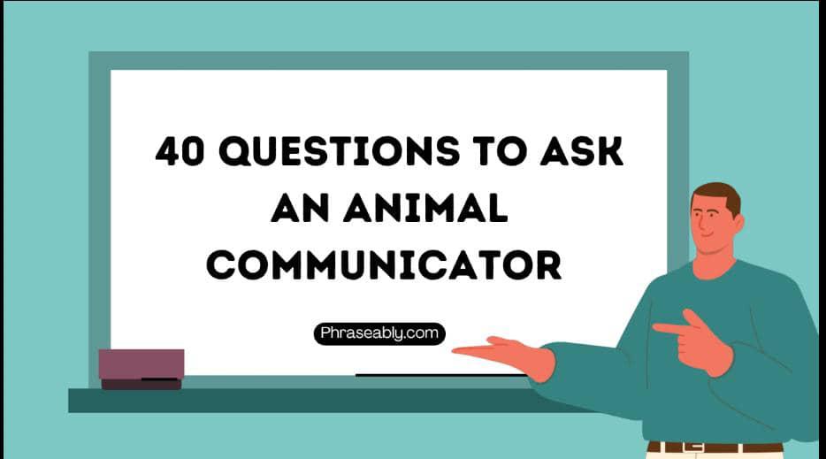 Questions to Ask An Animal Communicator