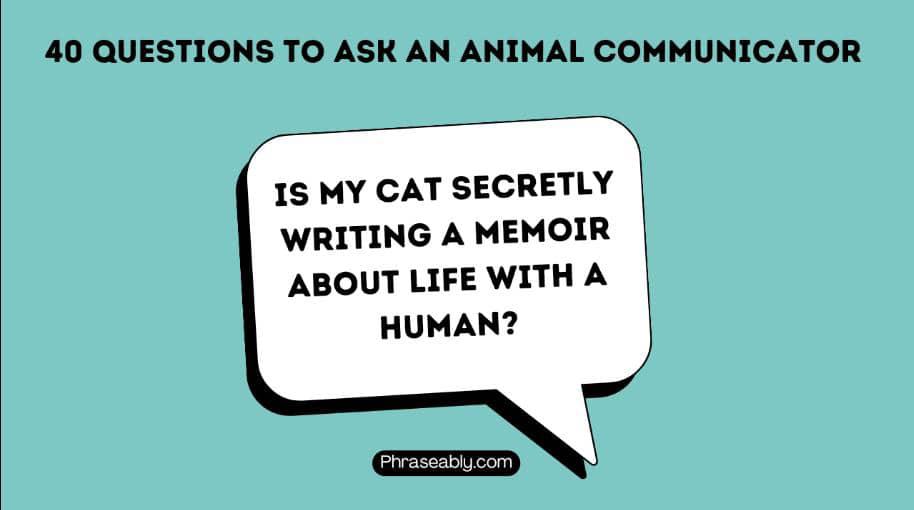 Questions to Ask An Animal Communicator