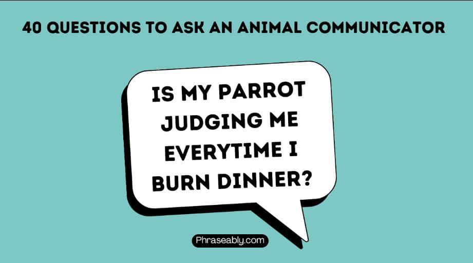 Questions to Ask An Animal Communicator