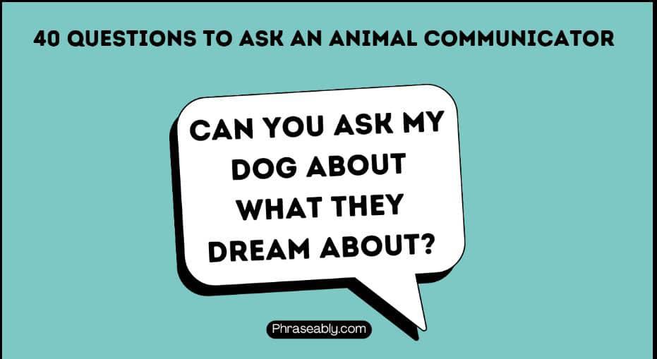 Questions to Ask An Animal Communicator