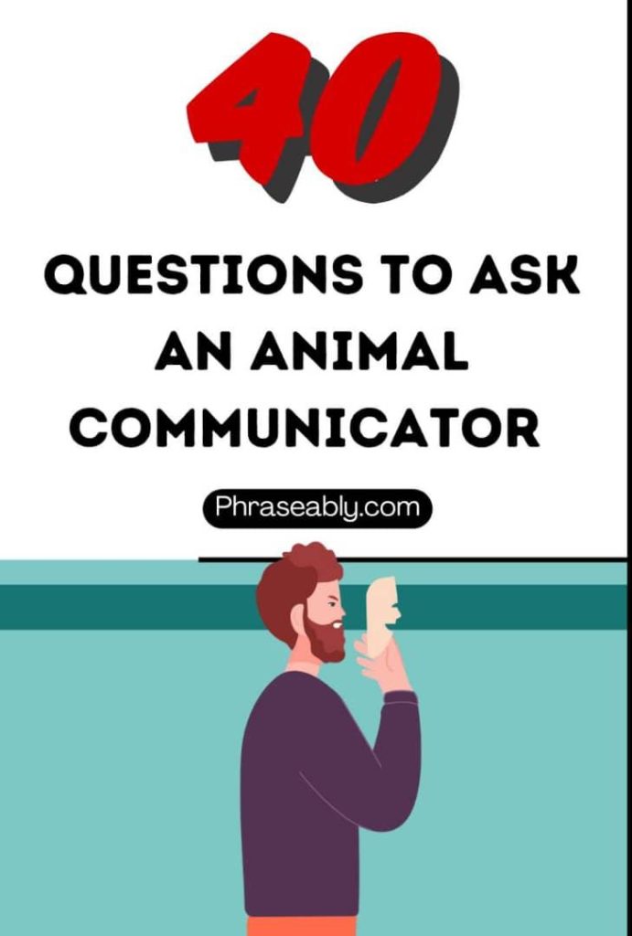 Questions to Ask An Animal Communicator