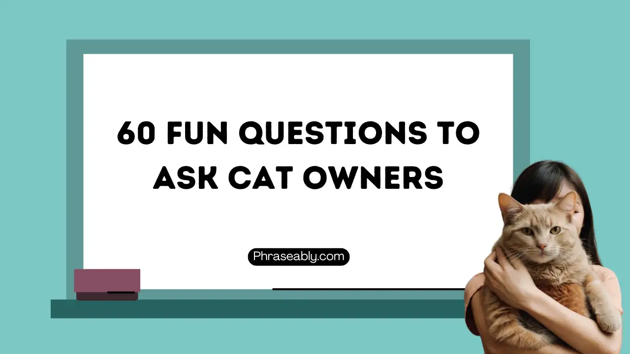 Fun Questions to Ask Cat Owners