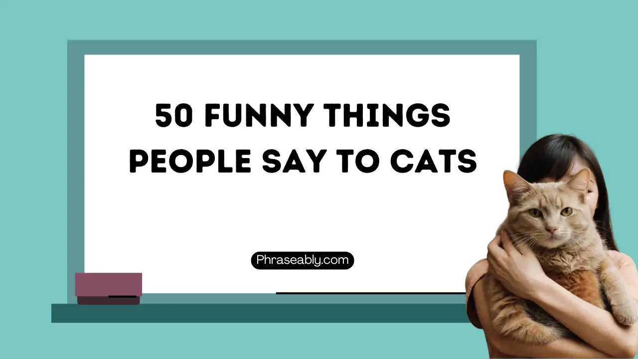 Funny Things People Say to Cats