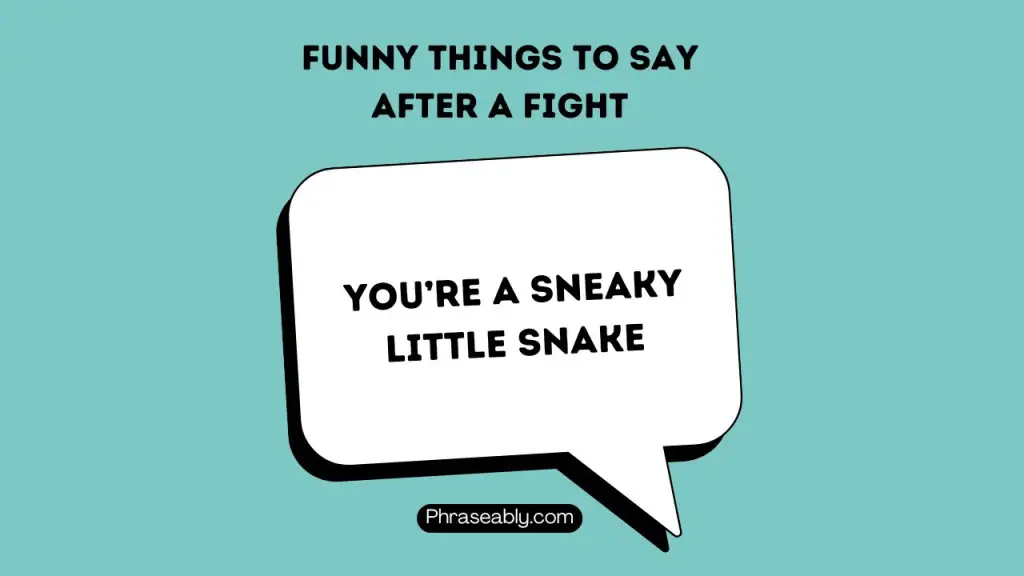 Funny Things to Say After a Fight