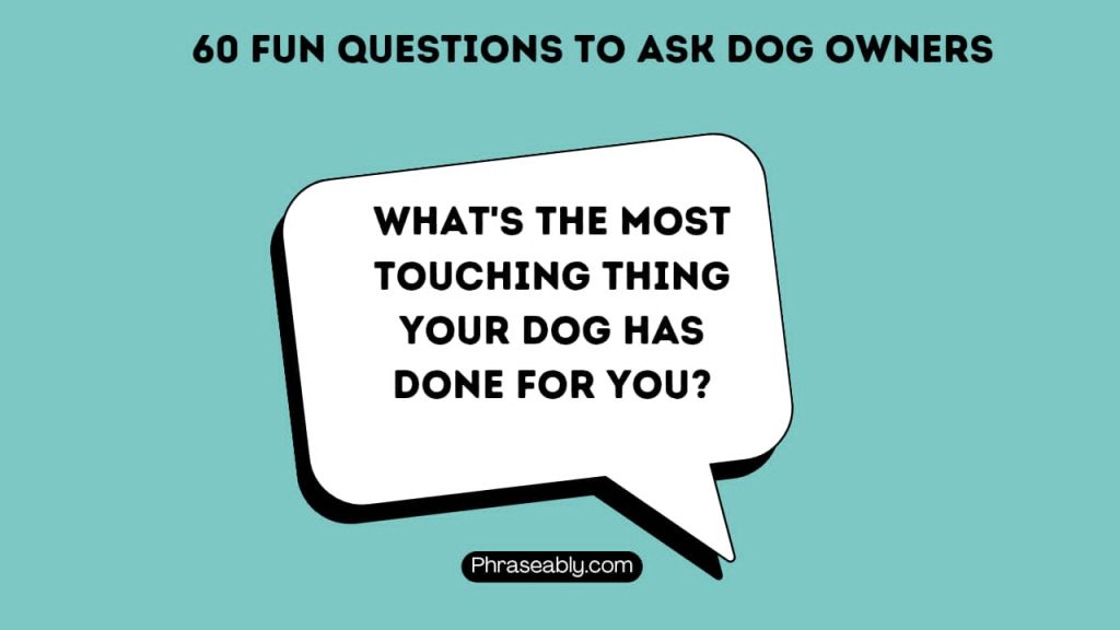 Fun Questions to Ask Dog Owners