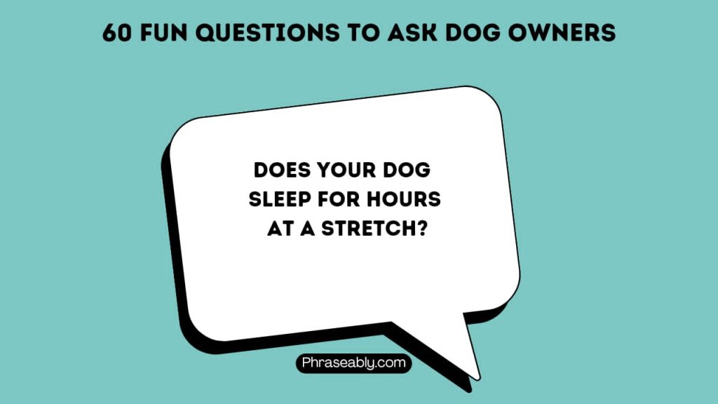 Fun Questions to Ask Dog Owners