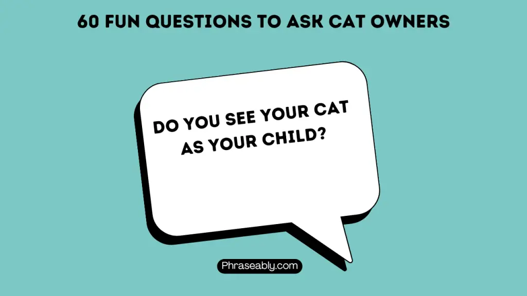 Fun Questions to Ask Cat Owners