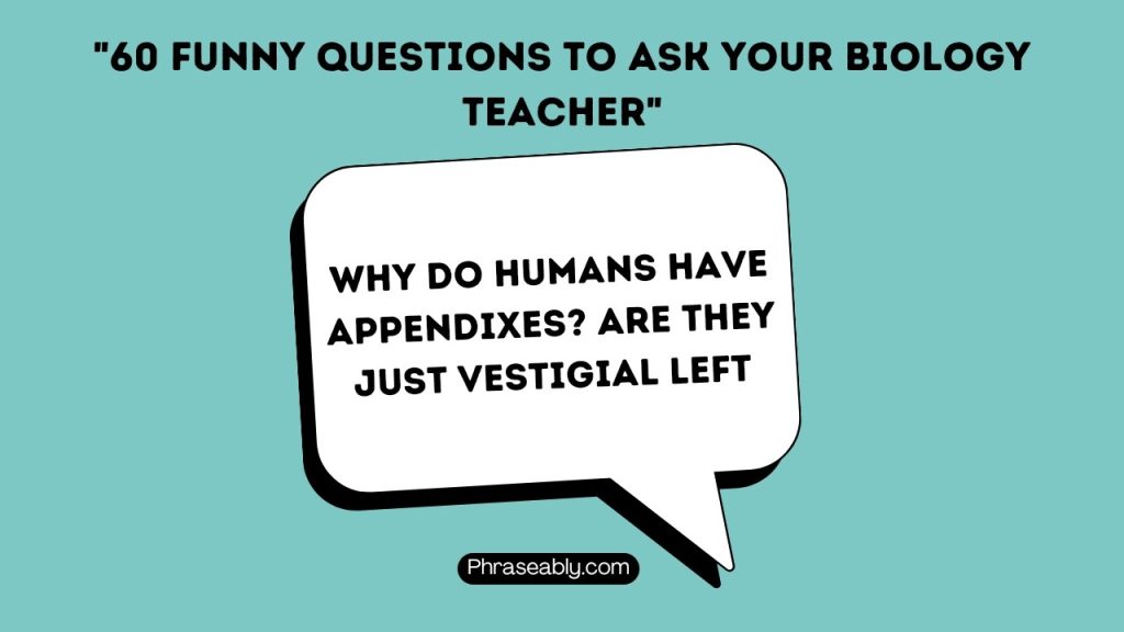 Funny Questions to Ask Your English Teacher