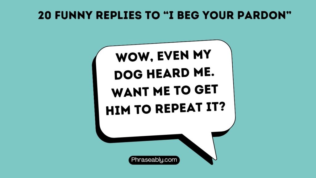 Funny Replies to I Beg Your Pardon