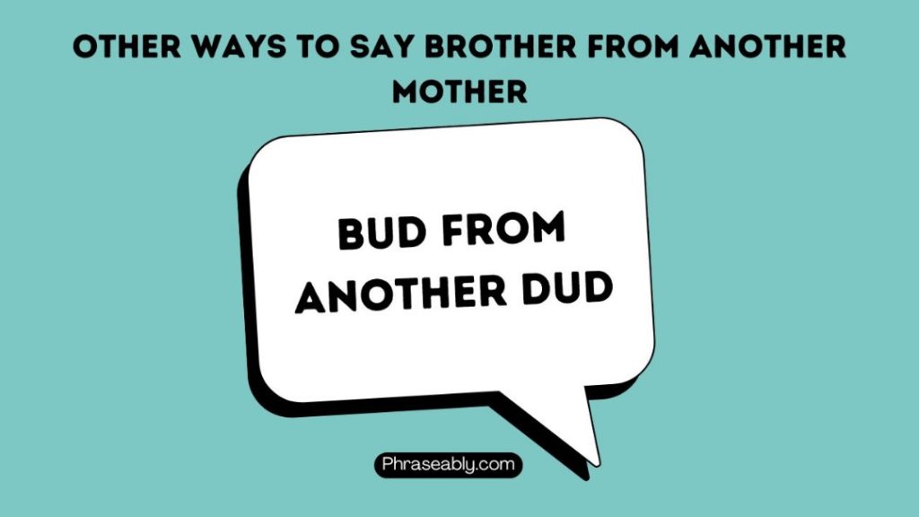  Other Ways to Say Brother From Another Mother