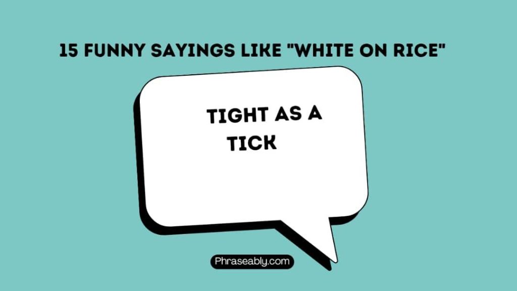 Funny Sayings Like White on Rice