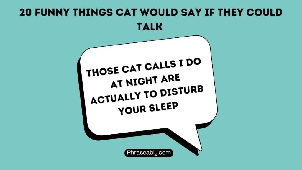 Funny Things Cat Would Say if They Could Talk