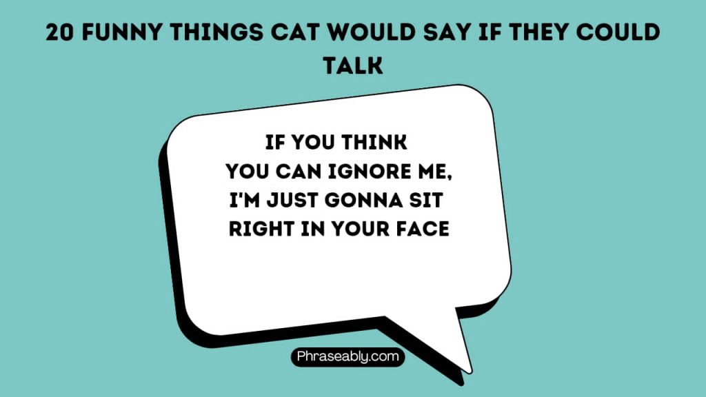 Funny Things Cat Would Say if They Could Talk