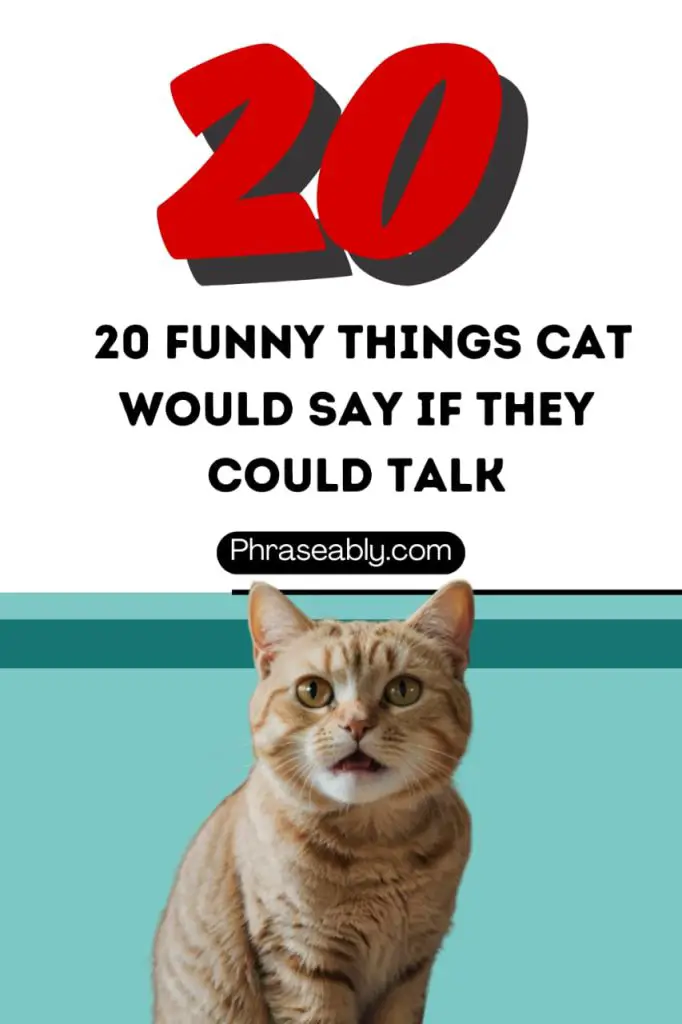 Funny Things Cat Would Say if They Could Talk