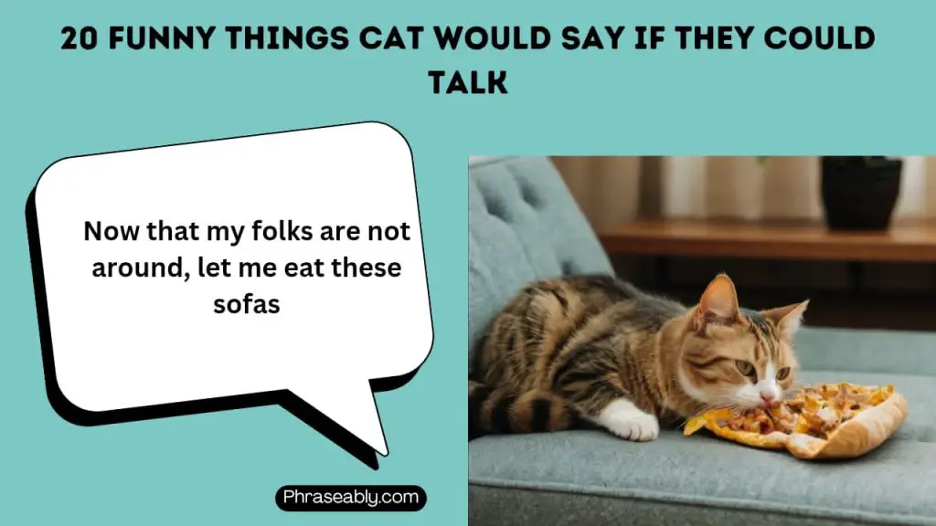 Funny Things Cats Would Say if They Could Talk 