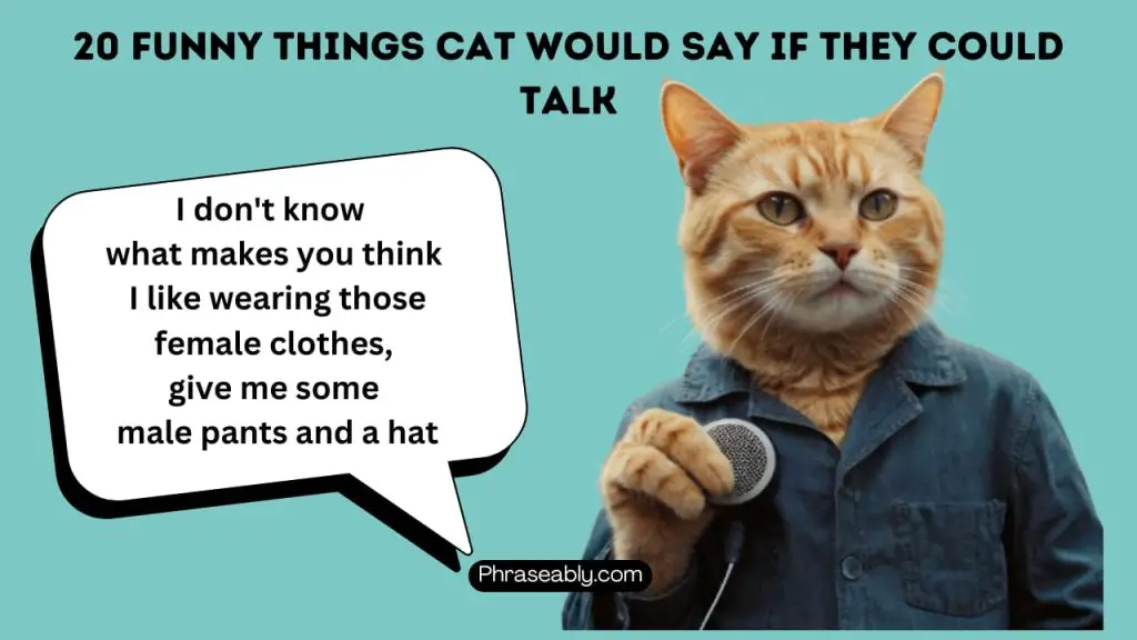 Funny Things Cats Would Say if They Could Talk 