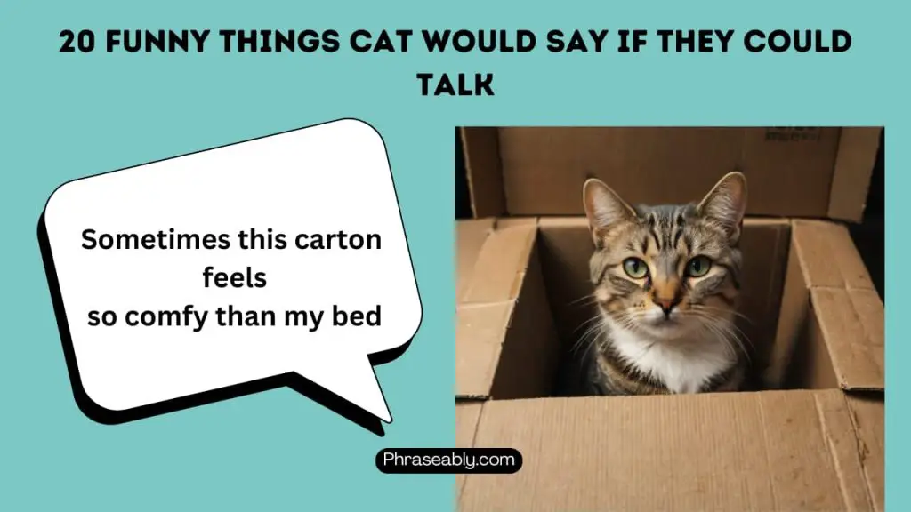 Funny Things Cats Would Say if They Could Talk 