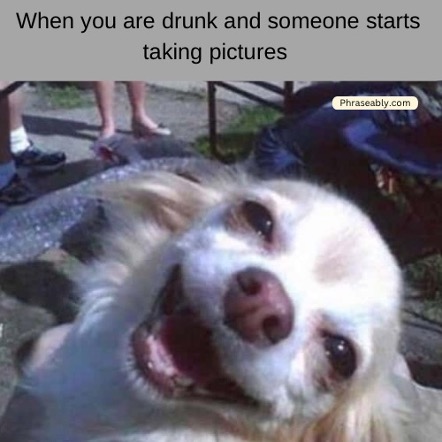 Drunk Person Funny Memes