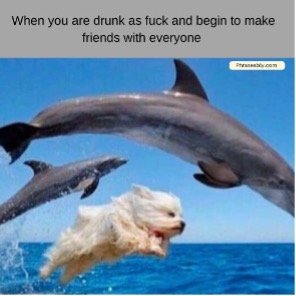 Drunk Person Funny Memes