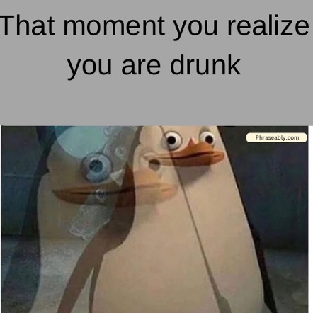 Drunk Person Funny Memes