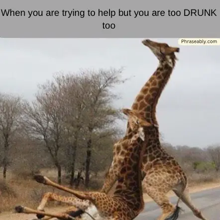 Drunk Person Funny Memes