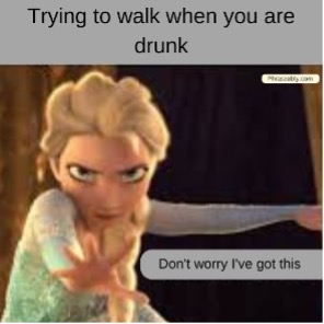 Drunk Person Funny Memes