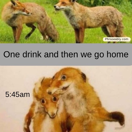 Drunk Person Funny Memes